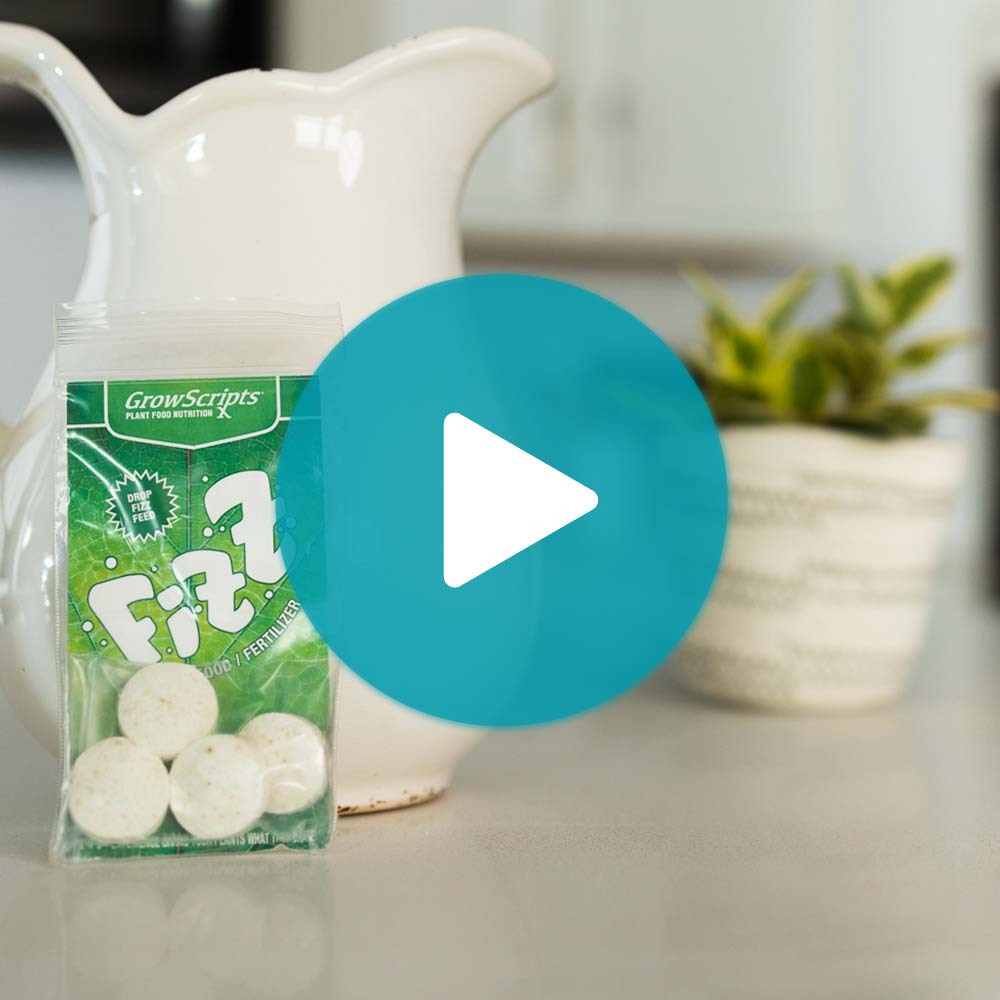 Flourish Organic Plant Food