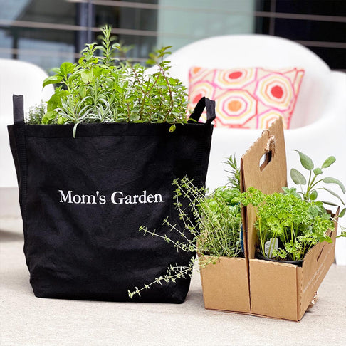 Gardenuity® Patio Garden for Mom