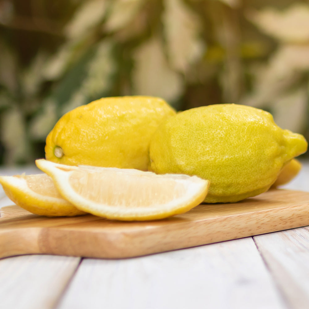 Lisbon Lemon Tree