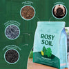 Rosy Soil Houseplant Mix