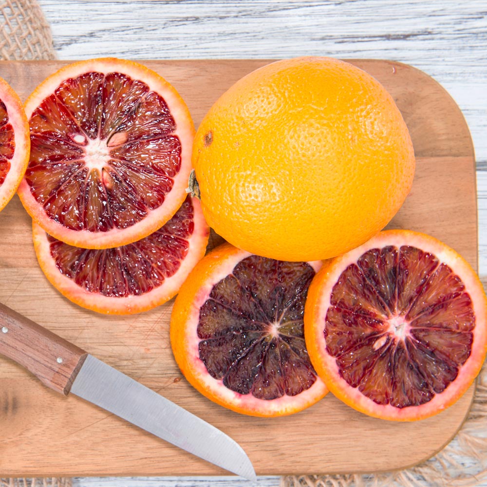 Sanguinelli Semi-Dwarf Blood Orange Tree