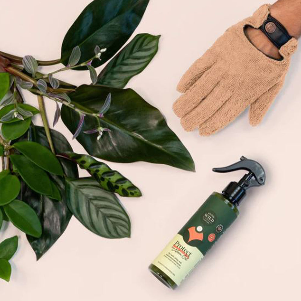 We the Wild Proud Plant Mum Leaf Care Kit