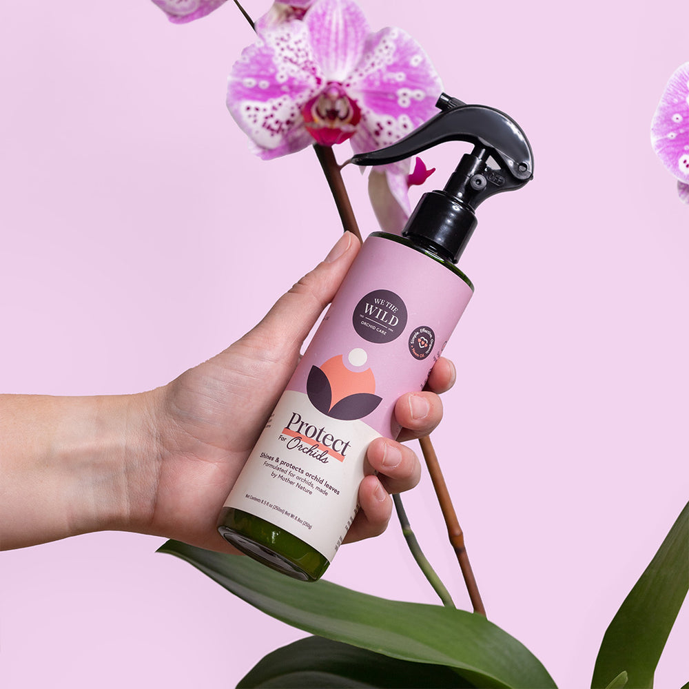 We the Wild Orchid Essential Kit