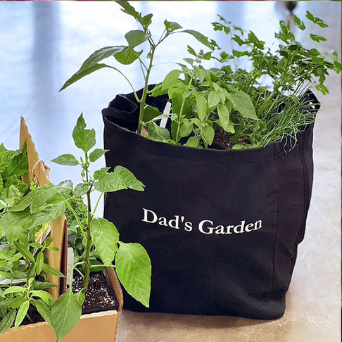 Gardenuity® Dad's Seasonal Herb Patio Kit
