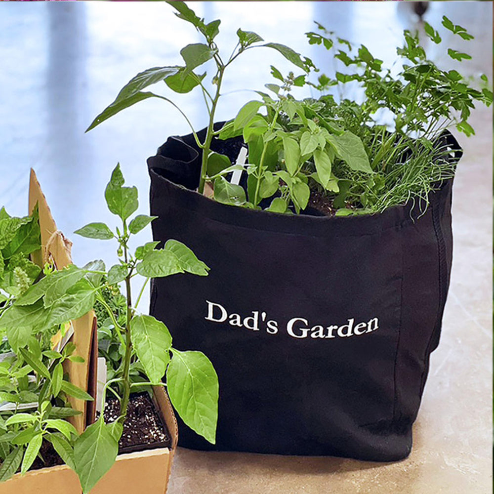 Gardenuity® Dad's Seasonal Herb Patio Kit