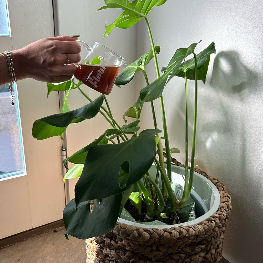 Flourish Organic Plant Food
