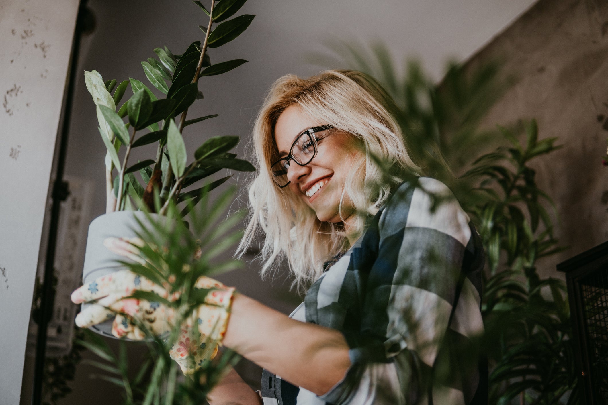 Plant problems? We're here to help! right