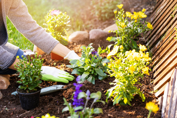 Ask a Master Gardener: Summer in the Garden