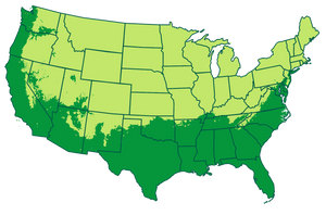 3-11 patio / 7-11 outdoors Map