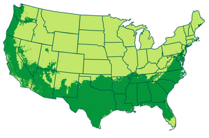 3-11 patio / 7-9 outdoors Map
