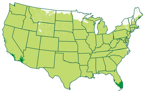 4-11 patio / 10-11 outdoors Map