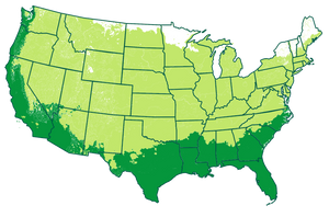 4-11 patio / 8-11 outdoors Map