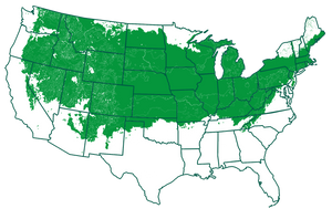 4-6 outdoors Map