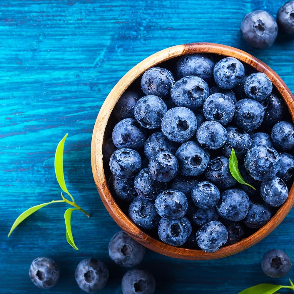 Brightwell Blueberry Bush