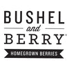 Bushel and Berry® Perpetua Blueberry Bush