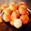 California Honey Mandarin Tree