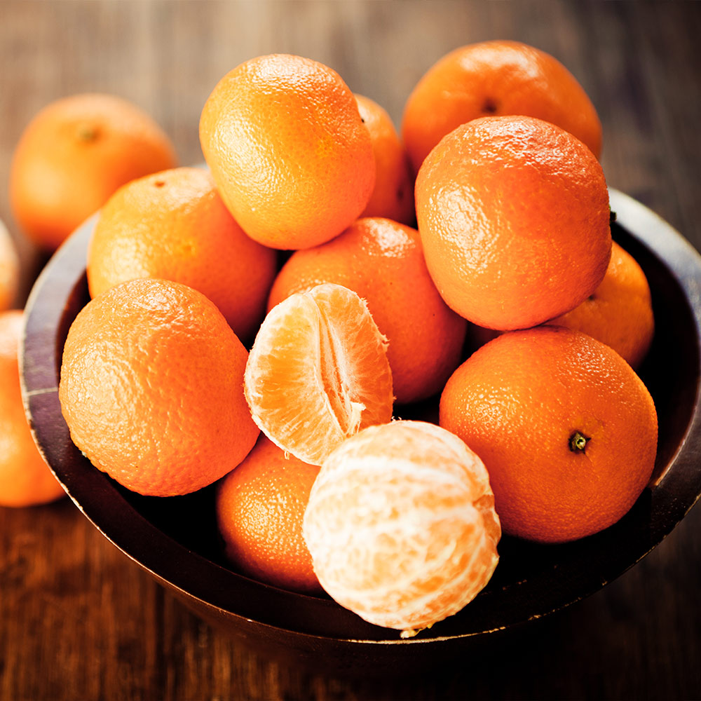 California Honey Mandarin Tree