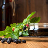 Everbearing Mulberry Bush