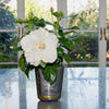 Earth Angel™ Hollywood® Hibiscus
