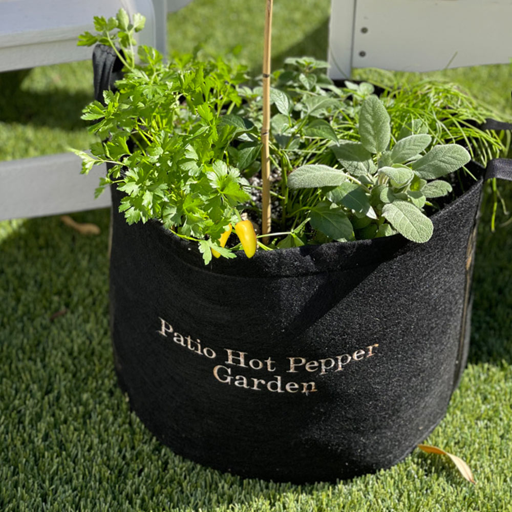 Gardenuity® Patio Hot Pepper Garden