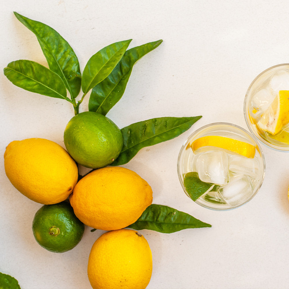 Lemon-Lime Citrus Tree