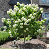 block-image