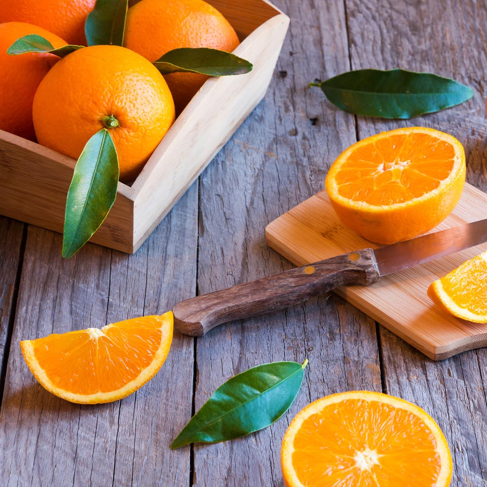 Midknight Valencia Orange Tree