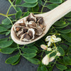 Moringa Tree