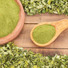 Moringa Tree