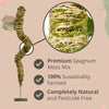 Mossify The Original Bendable Moss Pole™