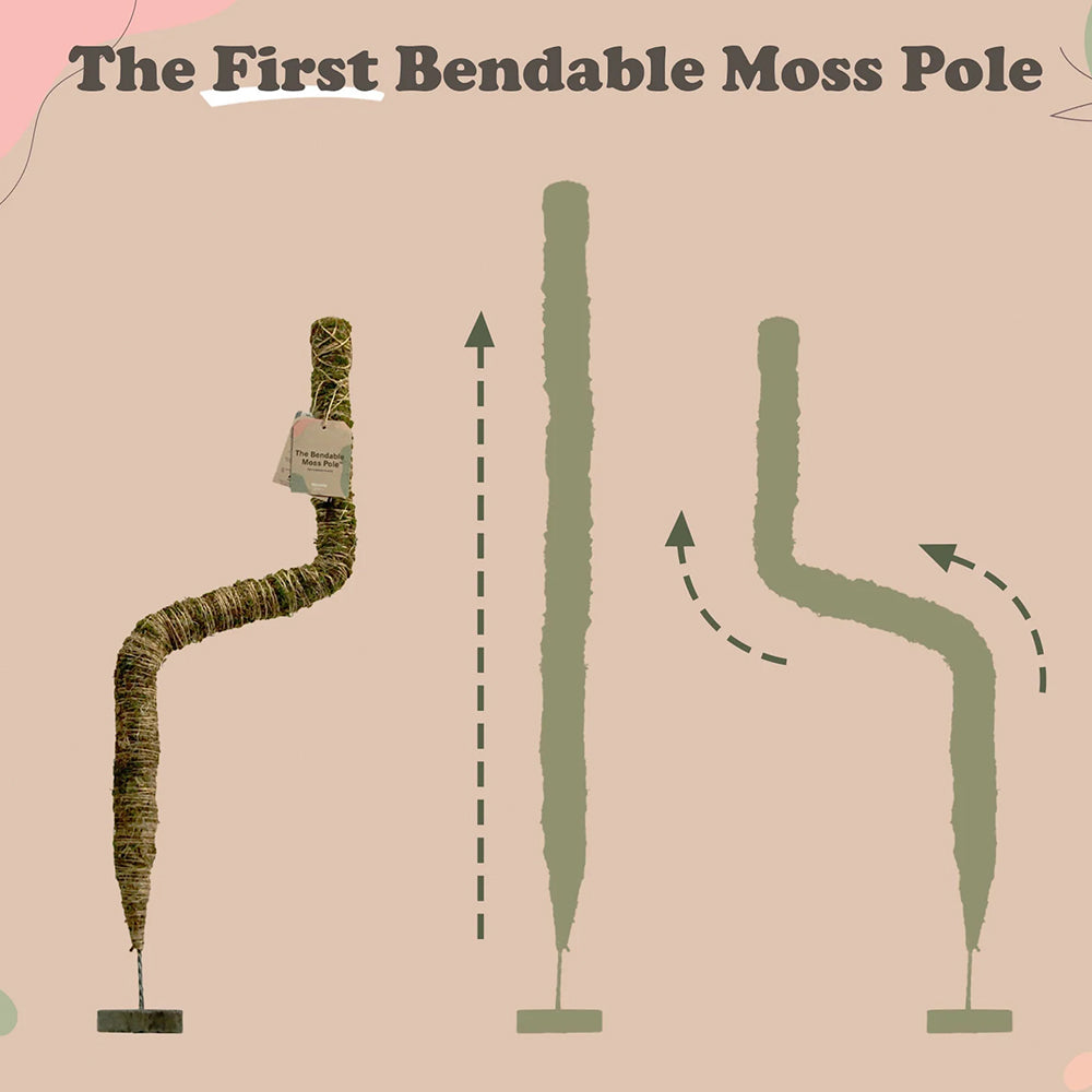 Mossify The Original Bendable Moss Pole™