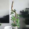 Mossify The Original Bendable Moss Pole™