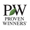 Proven Winners® Skinny Fit® Ginkgo Tree