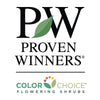 Proven Winners® Sonic Bloom® Weigela Shrub