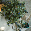Bushel and Berry® Perpetua Blueberry Bush