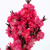 Ruby Ruffle™ Patio Peach Tree