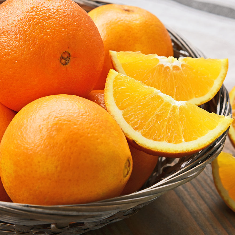 Robertson Navel Orange Tree