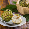 Sugar Apple (Sweetsop) Tree
