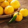 Yuzu Tree