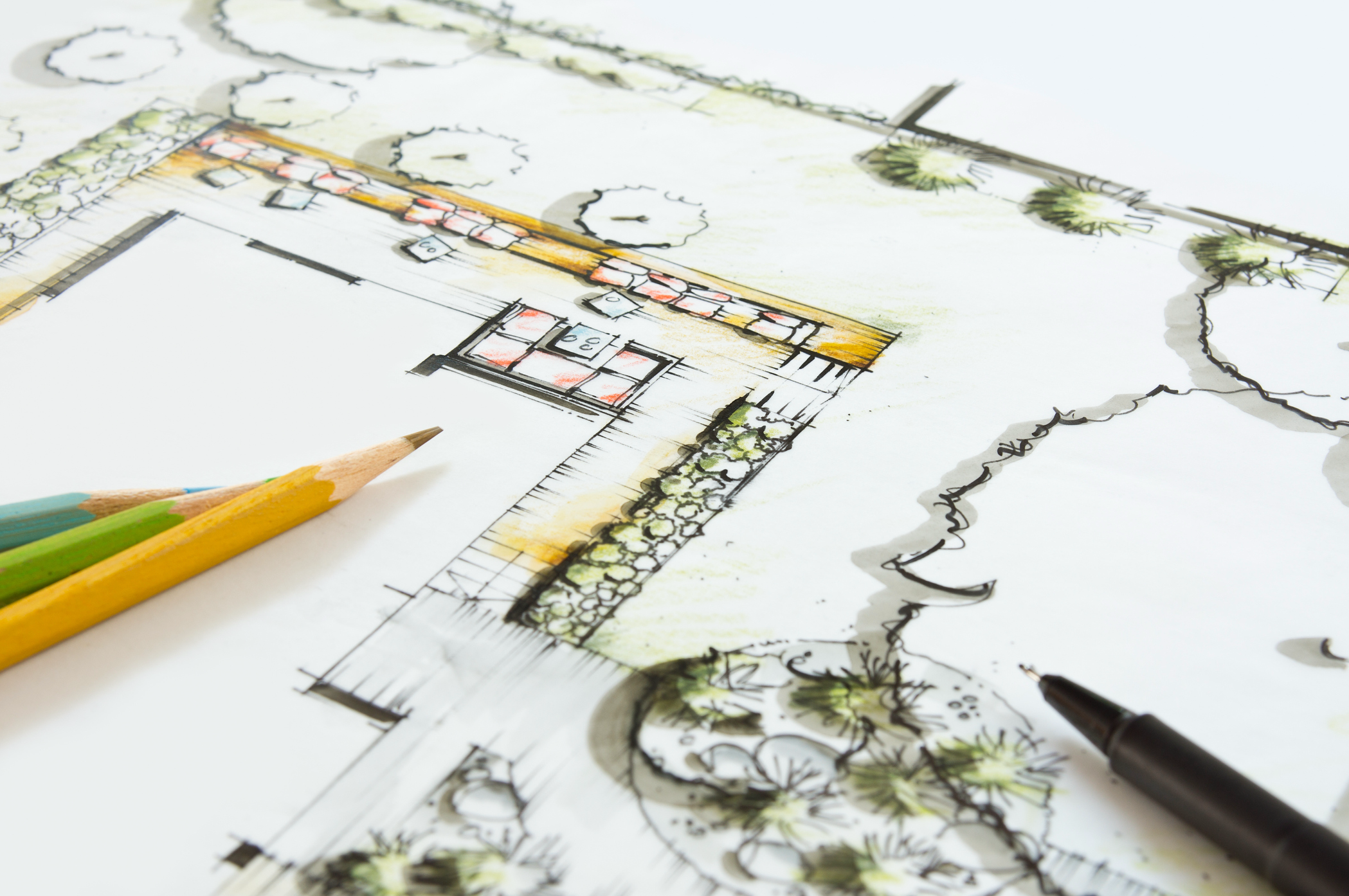 Landscape Design 101: Landscape Layout