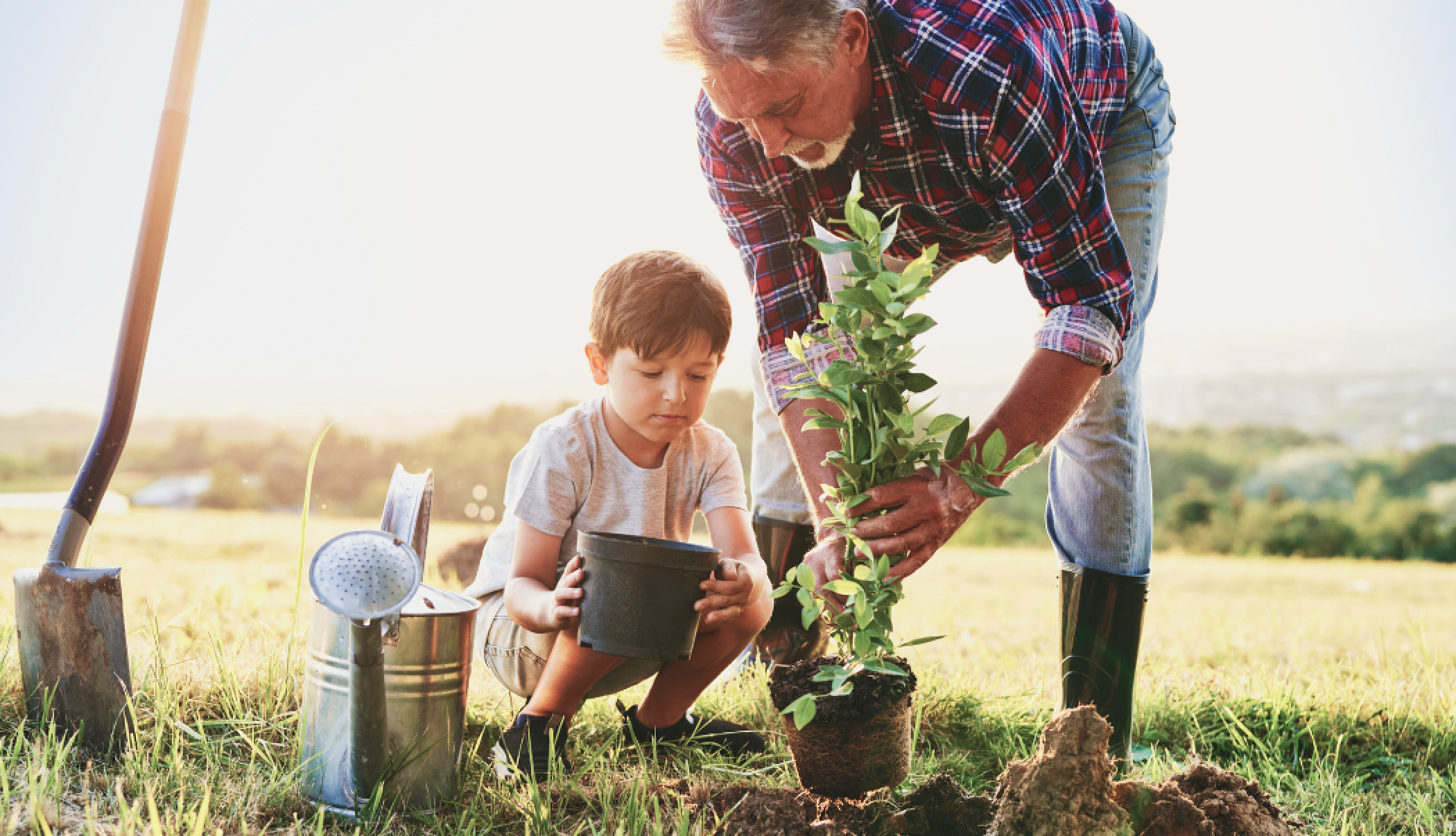 Fruit Trees 101: Choosing & Planting