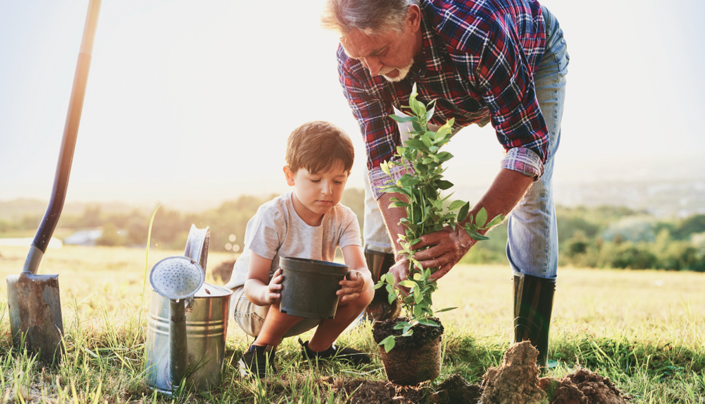 Fruit Trees 101: Choosing & Planting