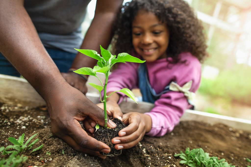 How To Teach Your Kids About Plants