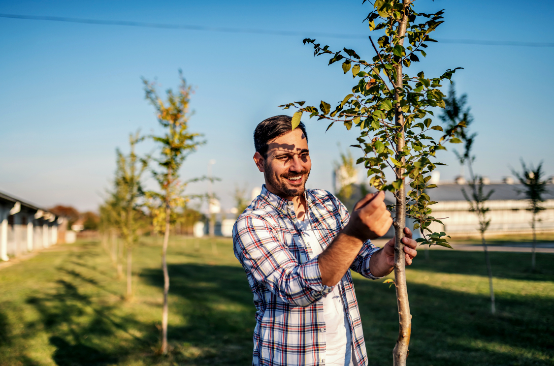 Fruit Trees 101: Troubleshooting