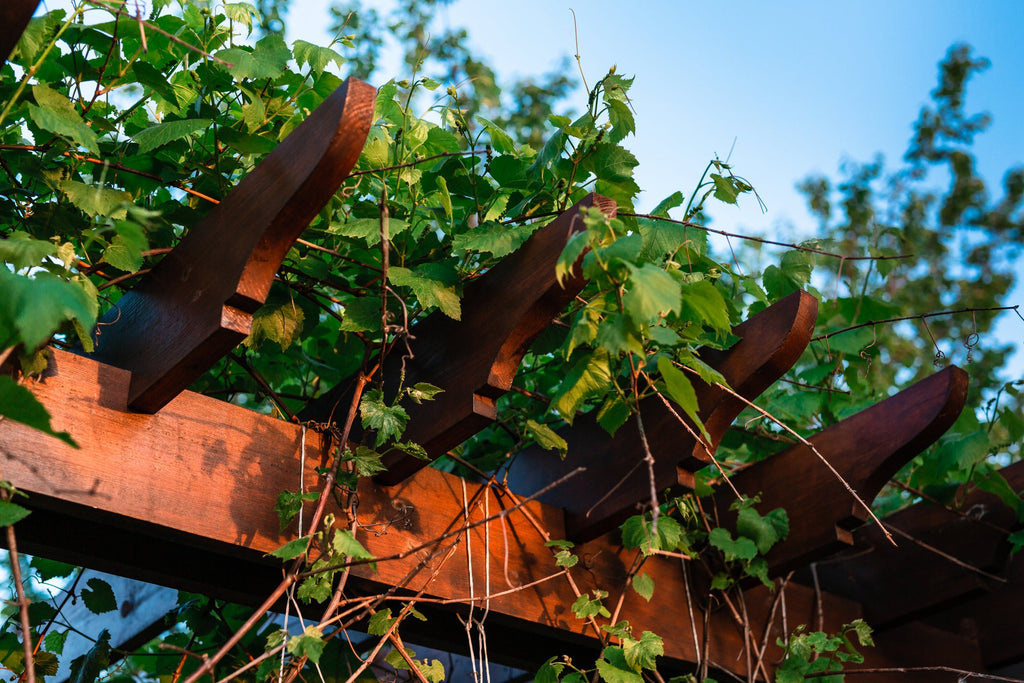 Video: How to Build and Plant a DIY Arbor