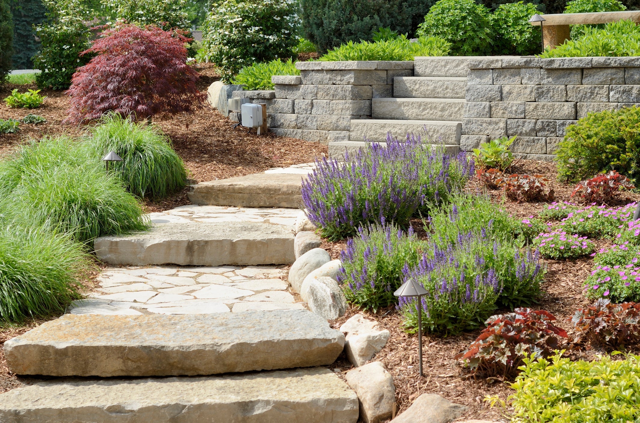 Landscape Design 101: Creating a Vision