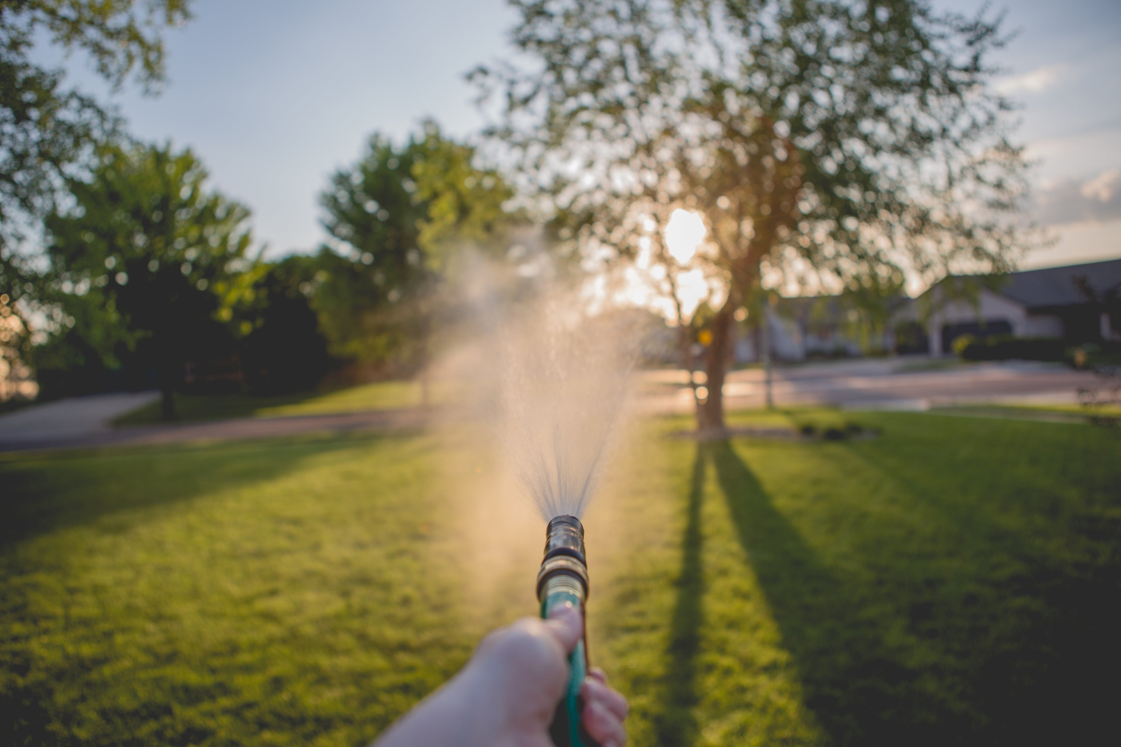 Ask a Master Gardener: Water Those Trees!