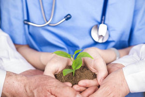 Disease Resistant image