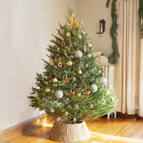 Fresh Cut Fraser Fir Christmas Tree