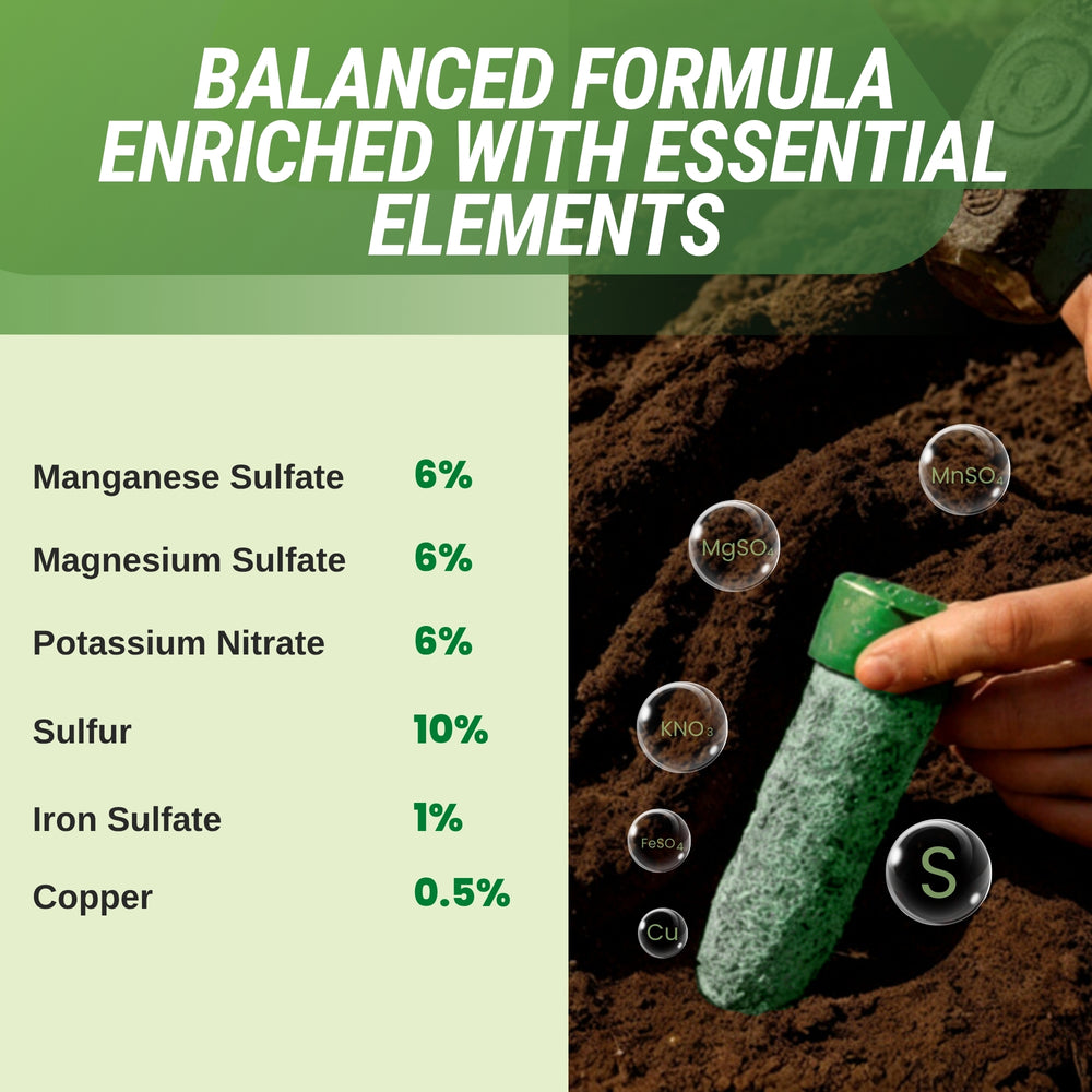 Lutz Palm Tree Fertilizer Spikes